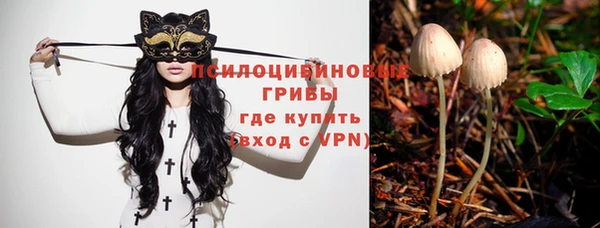 дмт Алзамай