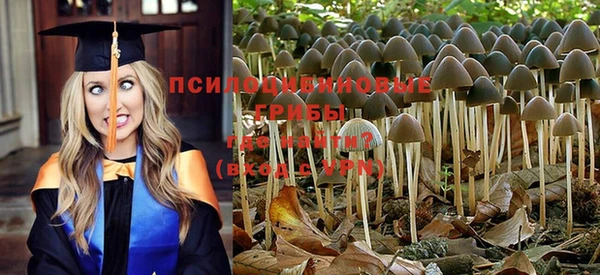 гашиш Алексин