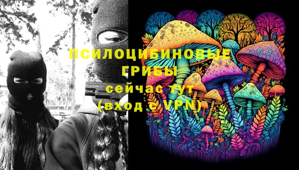 дмт Алзамай