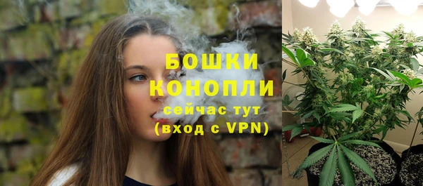 МДПВ Семилуки