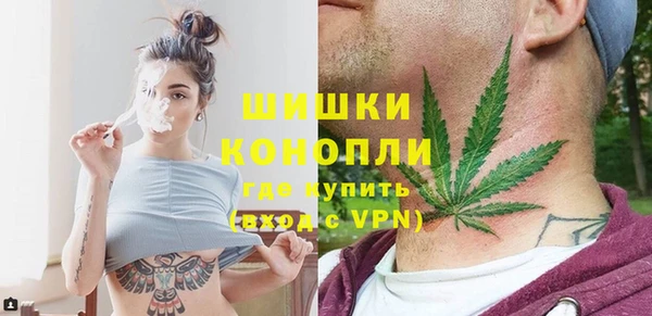 дмт Алзамай