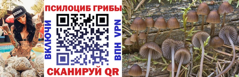omg сайт  Заозёрный  Псилоцибиновые грибы Psilocybe  где можно купить  